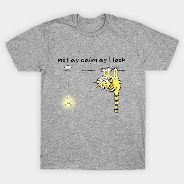 I'm Not As Calm As I Look T-Shirt by Artist78